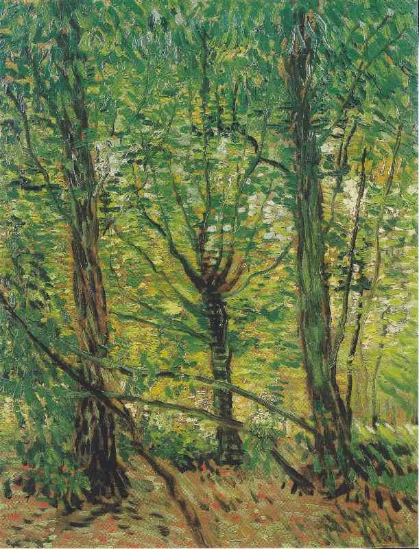 Vincent Van Gogh Trees and Undergrowth china oil painting image